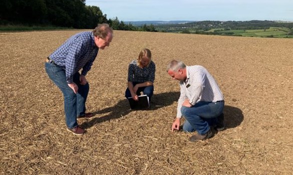 Two farmers and a consultant in a bare arable field examining the soil